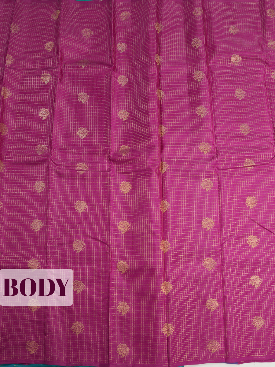 Purple Pure Kanchipuram Saree with No Border