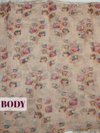 Cream Organza Saree with Cutwork Metallic Border