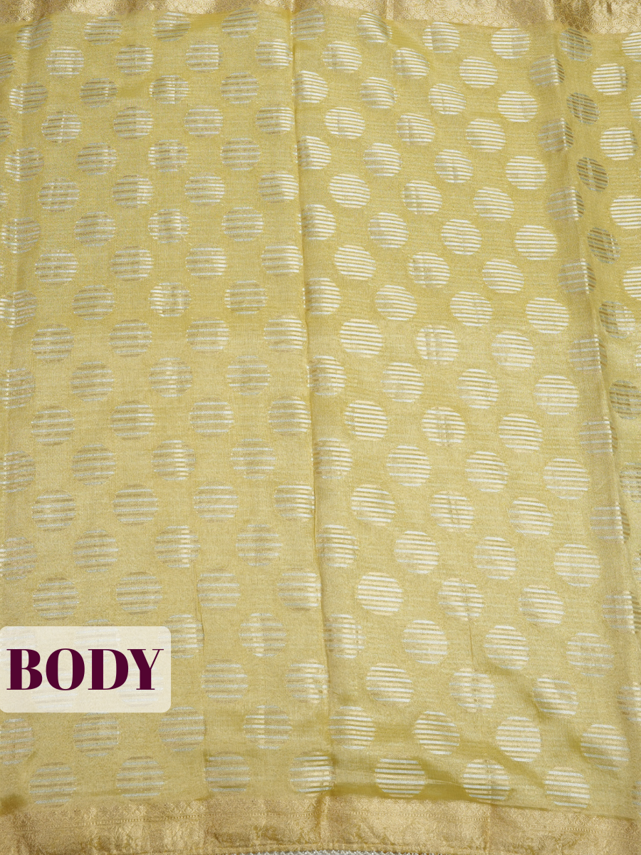 Olive Gold Tissue Organza Saree with Zari with beaded loop trim edge