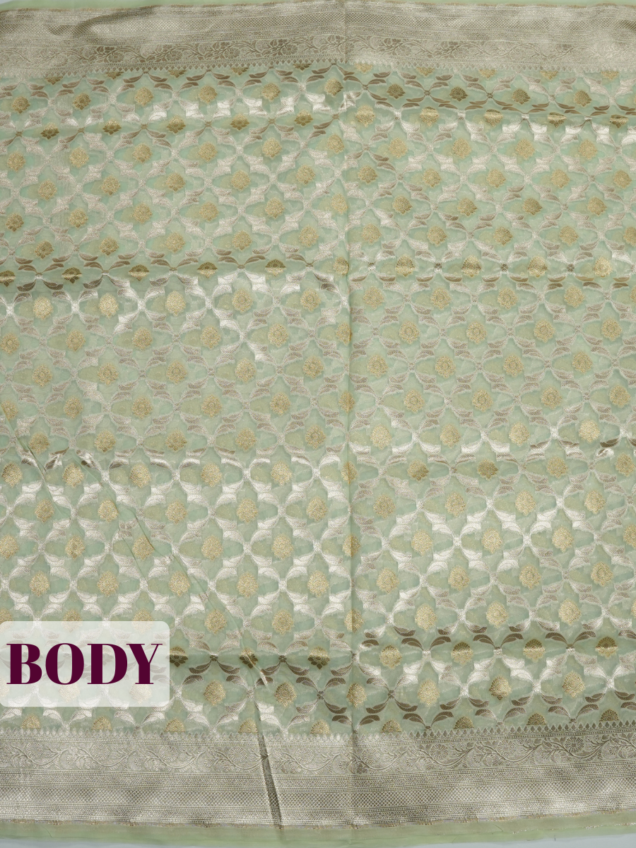 Pista Green Organza Saree with Floral Jaal Zari Border