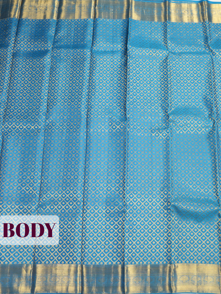 Blue Kanchivaram Saree with Paisley Brocade Zari Border