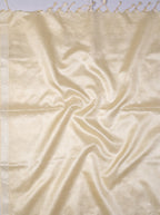 Black Cream Chiniya Silk Silver Zari Checked Saree.