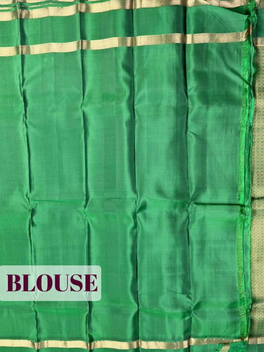 Grey Arni Silk Saree with Broad Contrast Zari Border