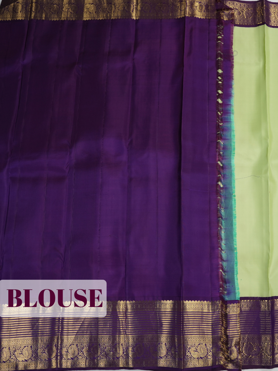 Parrot Green Kanchipuram Saree with Paisley Zari Border