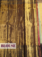 Parrot Green Kanchipuram Saree with Floral Paisley Zari Border