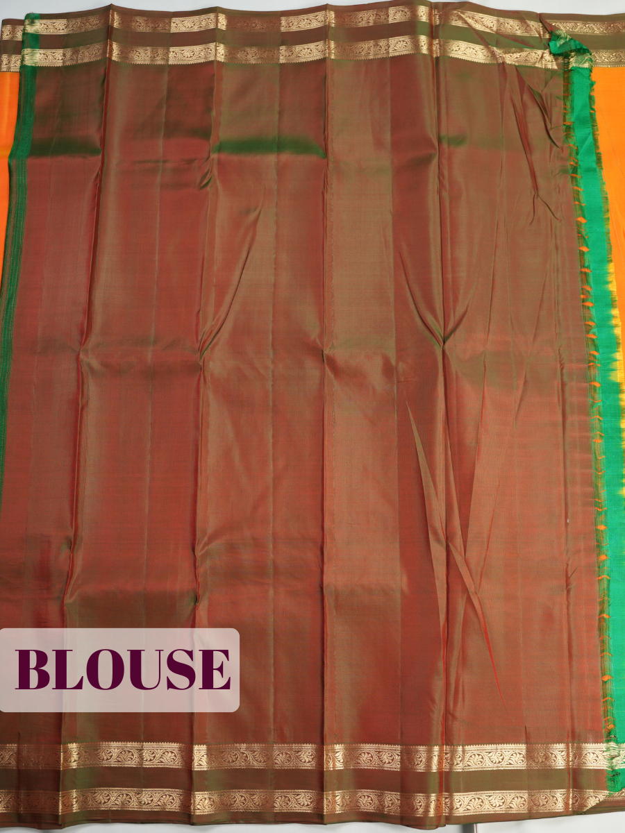 Orange Pure Kanchipuram Saree with Paisley Vine Zari Border