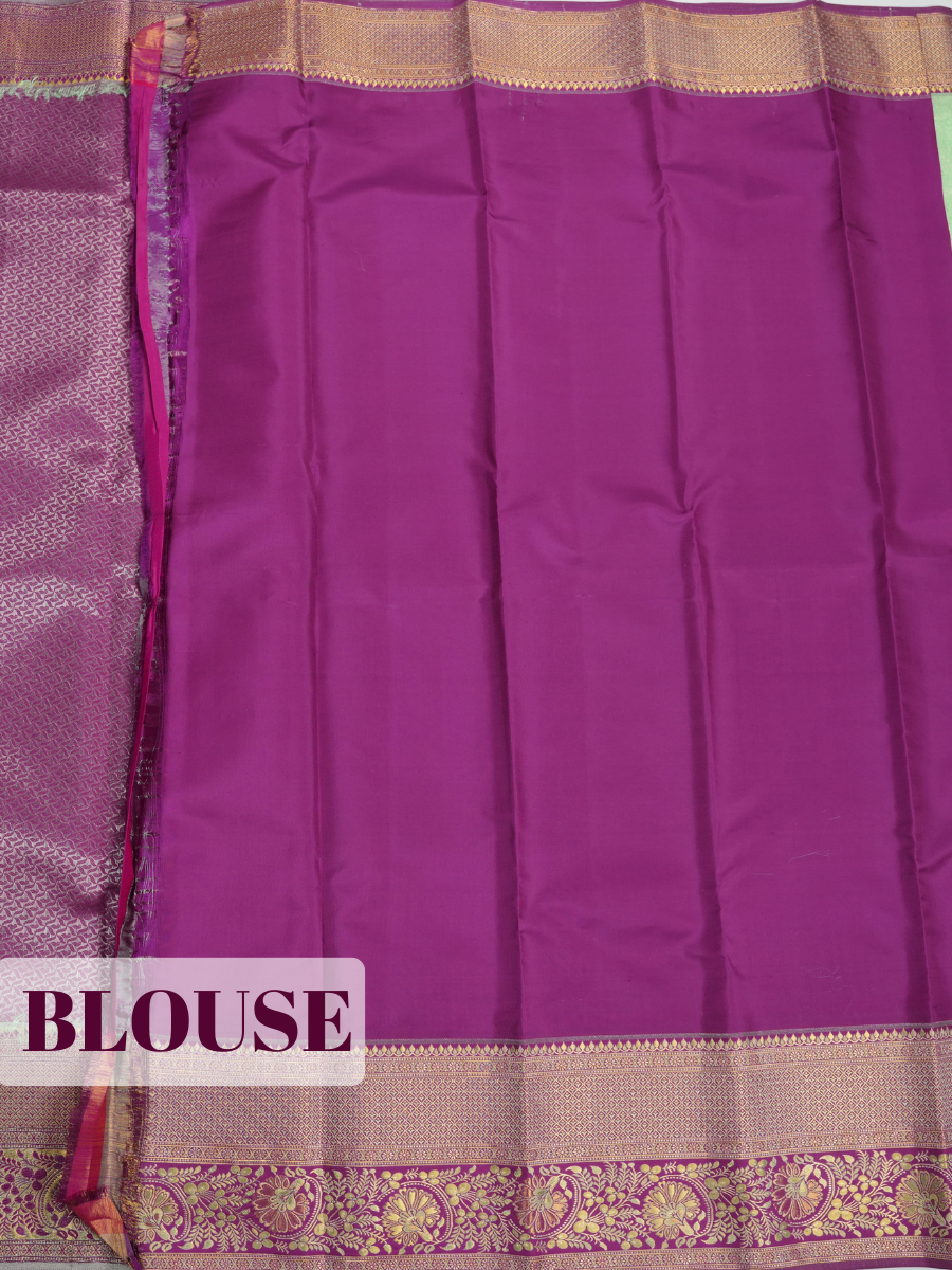 Parrot Green Kanchipuram Saree with Peacock Zari Border