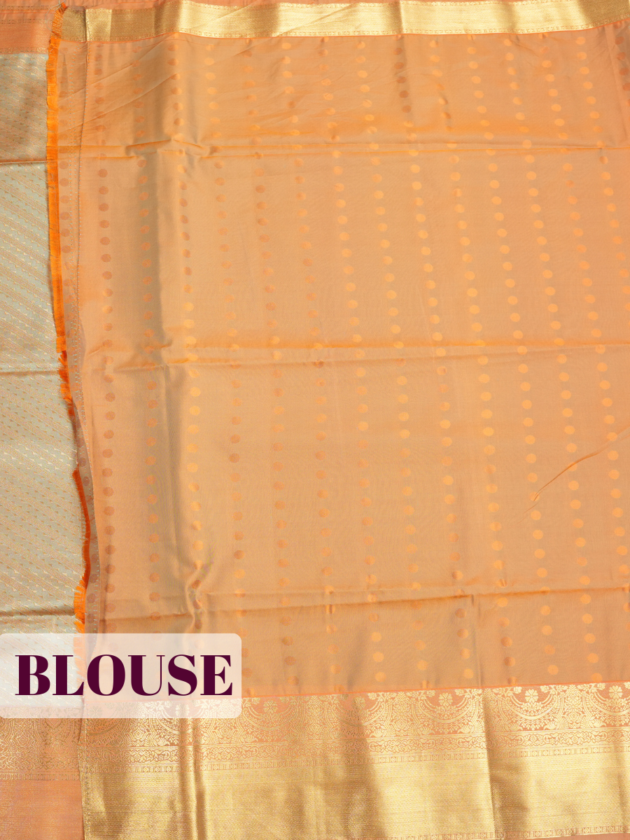 Sage Green Kanjivaram Soft Silk Saree with A zari Kanjivaram brocade border