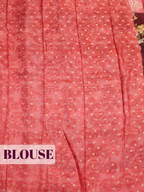 Maroon Tissue Crepe Fancy Saree with Multicolour Floral and Leaf Print