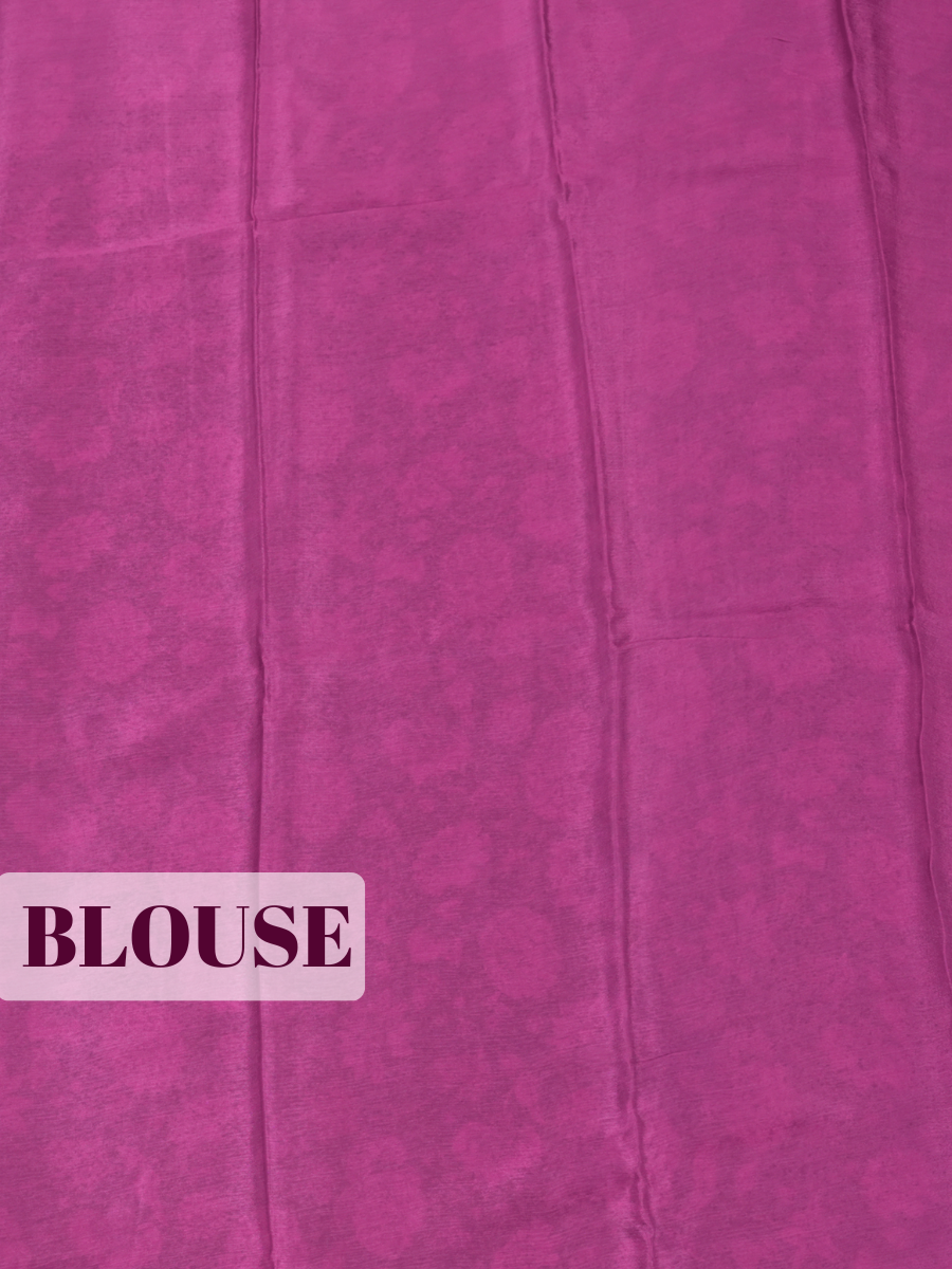 Black Pure Chiffon Saree with Borderless Design