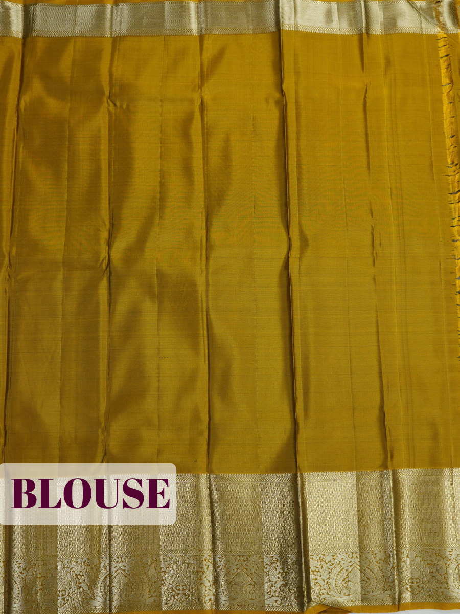 Silver Grey Kanchipuram Saree with Paisley and Diamond Zari Border