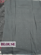 Grey Organza Saree with Kashmiri Floral Embroidered Border