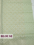 Pista Green Organza Saree with Floral Jaal Zari Border