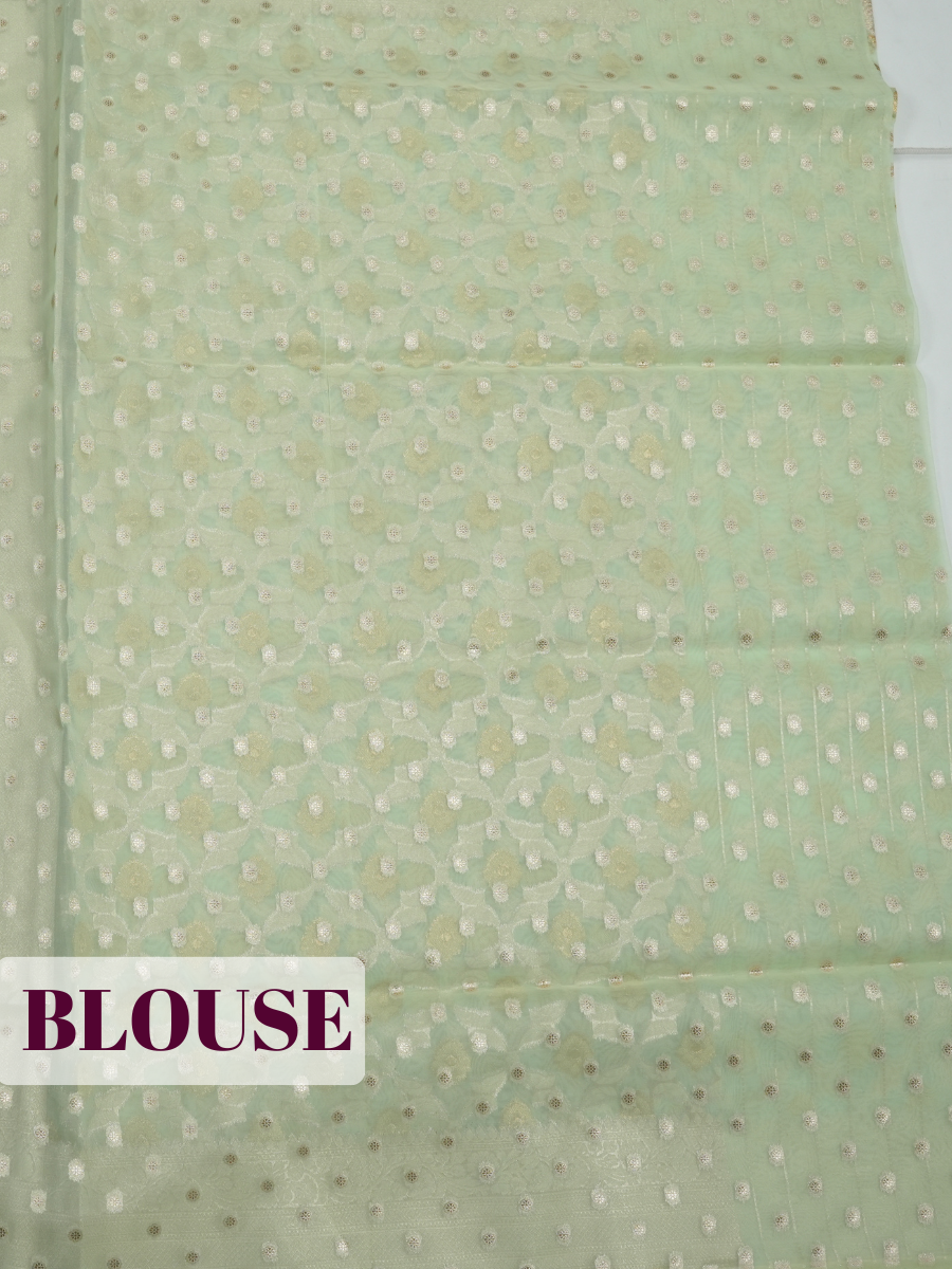Pista Green Organza Saree with Floral Jaal Zari Border