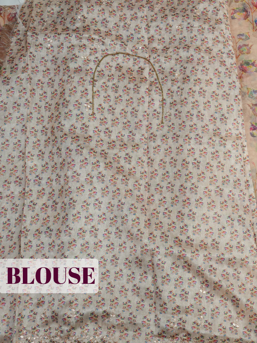 Cream Organza Saree with Cutwork Metallic Border