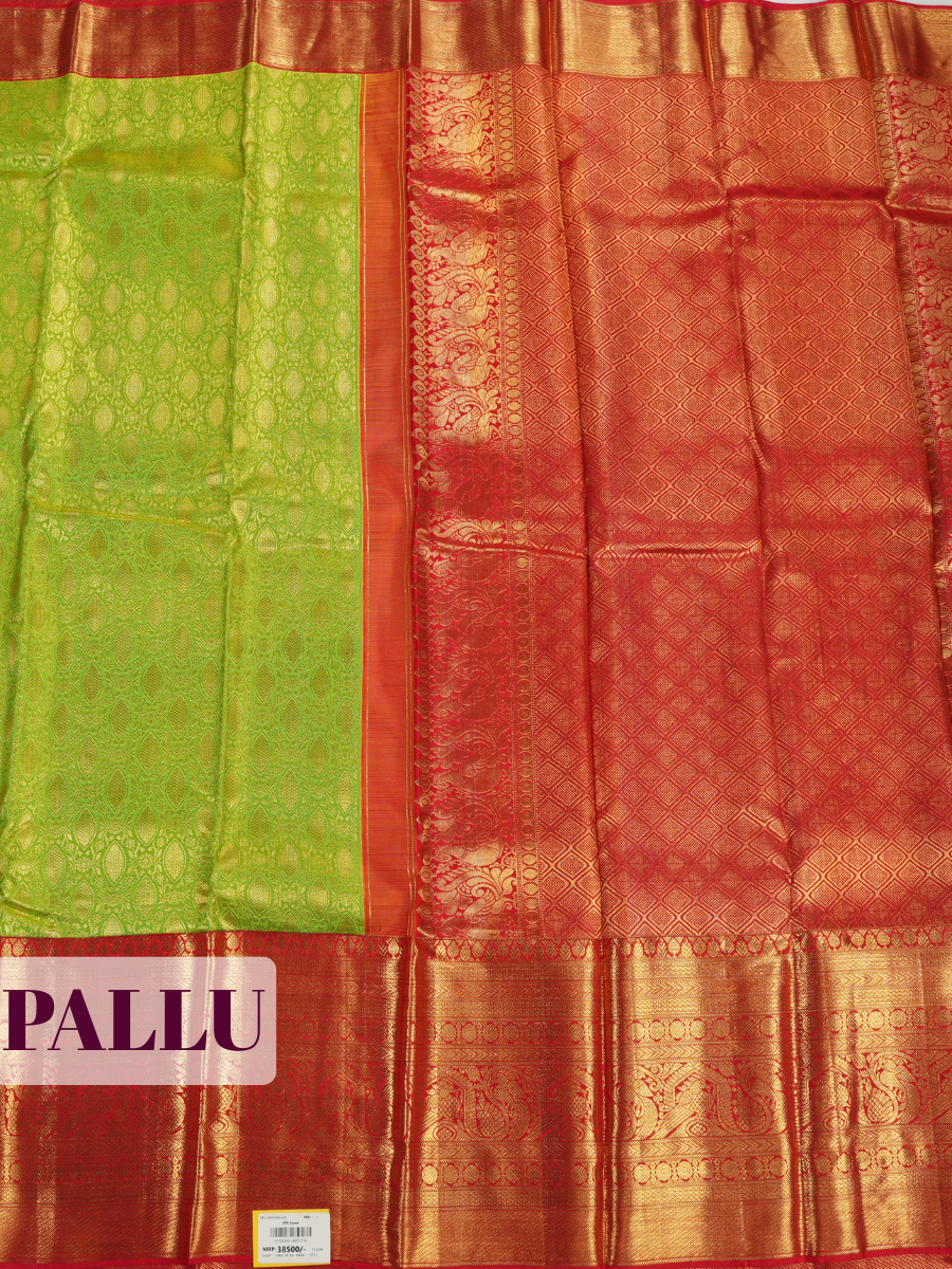 Parrot Green Kanchipuram Saree with Peacock Paisley Zari Border