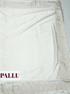 White Fancy Saree with Delicate Stonework and Scalloped Embroidered Border